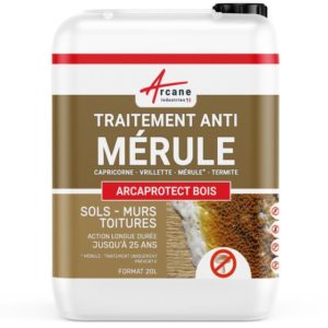 Traitement anti-mérule