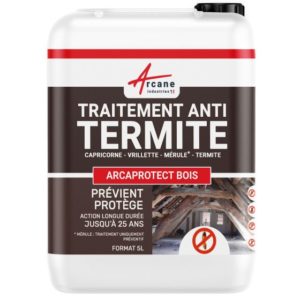Traitement anti-termites